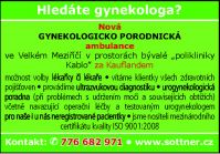 Gynekologie3