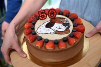 maxipes fik_50_let