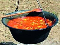 Gulas2