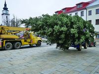 vanocni strom_u_radnice_instalace