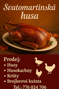 svatomartinska husa_kupa_kamil_2025